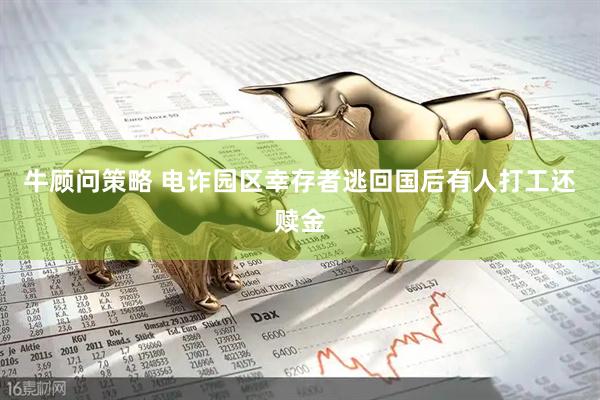 牛顾问策略 电诈园区幸存者逃回国后有人打工还赎金