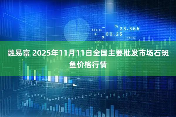 融易富 2025年11月11日全国主要批发市场石斑鱼价格行情